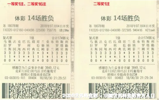 核心团队：跨界融合的智囊团